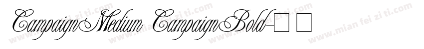 CampaignMedium CampaignBold字体转换
